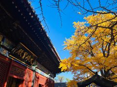 -红螺寺