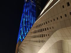 -南京国际青年文化中心