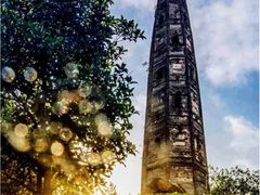 -上海佘山国家森林公园天马山园