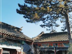 -香山公园