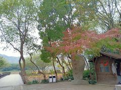 -八卦田遗址公园
