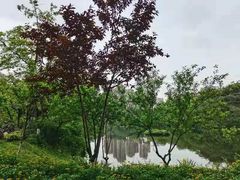 -重庆彩云湖湿地公园