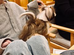 -东田之村自助餐厅(金水路店)