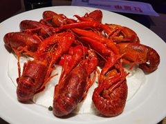 -红盔甲·小龙虾(定西路店)