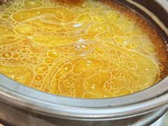 -乳仔牛牦牛汤锅 烤羊排(松潘古城店)