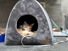 -Again Coffee Roaster(香蜜湖店)