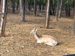 -秦皇岛野生动物园