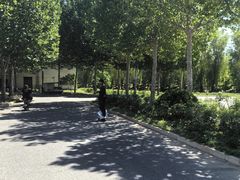 -东升八家郊野公园