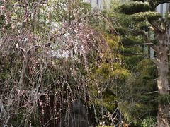 -南紀白浜 浜千鳥の湯 海舟