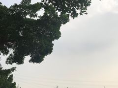 -黄埔古港