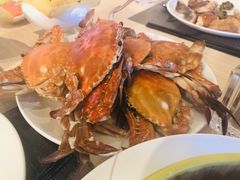 -齐河孔雀王温泉酒店·金孔雀自助百汇