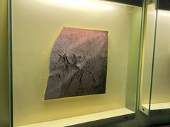 -辽宁古生物博物馆