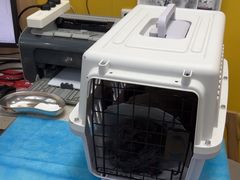-瑞派·爱瑞可动物医院·口腔专科(广华新城分院)