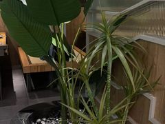 -湊湊火锅·茶憩(皇姑万象汇店)