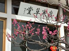 -无锡梅园公园