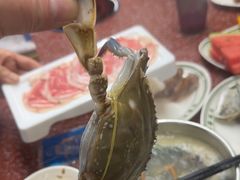 -四囍码头海鲜烧烤自助火锅(外滩南京东路悦荟广场店)