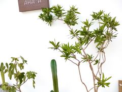 -AHAVA·Fang Baking Studio