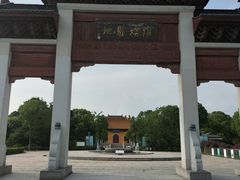 -溱湖国家湿地公园