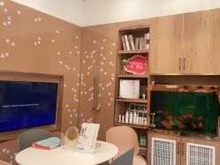 点击看大图 -WENDY·温迪皮肤管理