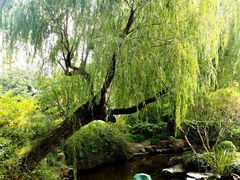 -嘉北郊野公园北游客中心-地上停车场