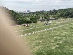 -佛手湖郊野公园