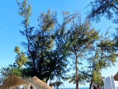 -西涌国际滨海旅游区