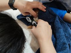 -立德动物医院·24小时中心(番禺区院区)