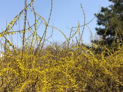 -大兴滨河森林公园