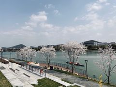 -羊山湖公园