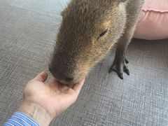 -FAIRYLAND龙族星球主题餐厅(凯丹广场店)