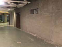 -坚果NUTS
