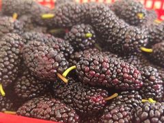 -龙坞茶村