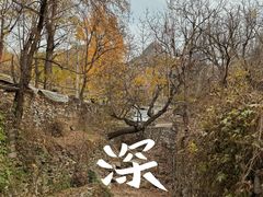 -水峪民俗村