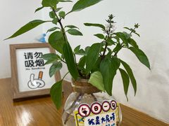 -呷贺盐酥鸡(抄纸巷店)
