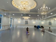-芭蕾仙子 FairyBallet 少儿芭蕾舞蹈中心(丽都旗舰店)