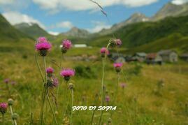 -帽儿山风景区