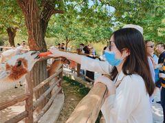 -西安秦岭野生动物园