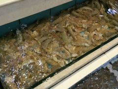 -宜宾海鲜酒家·三十年老字号