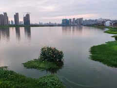 -大小河街
