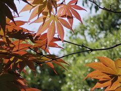 -黔灵山公园