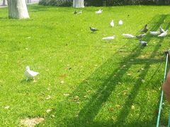 -西湖外事游船(湖滨二公园外事游船码头)