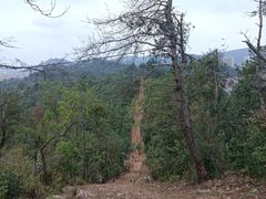-青龙山国家森林公园