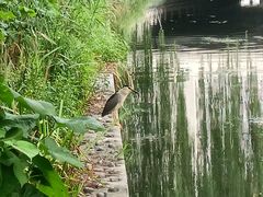 -安定门(地铁站)