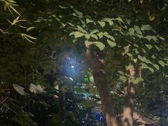 -金稼园·金平湖农家菜