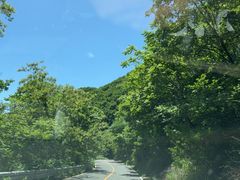 -六里坪国家森林公园