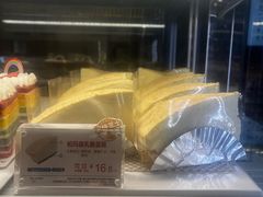 -鹏欣水游城