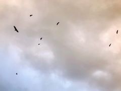 -黄河九曲第一湾