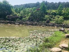 -铁山坪森林公园