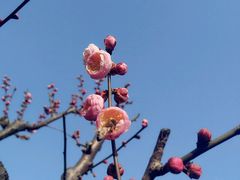 -雨花胜境