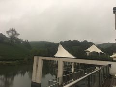 -帐篷客·溪龙茶谷度假酒店